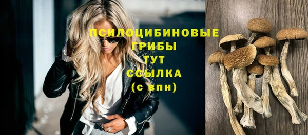 спайс Абинск