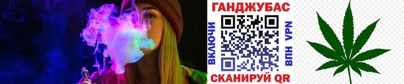Канабис план  наркота  Алзамай 